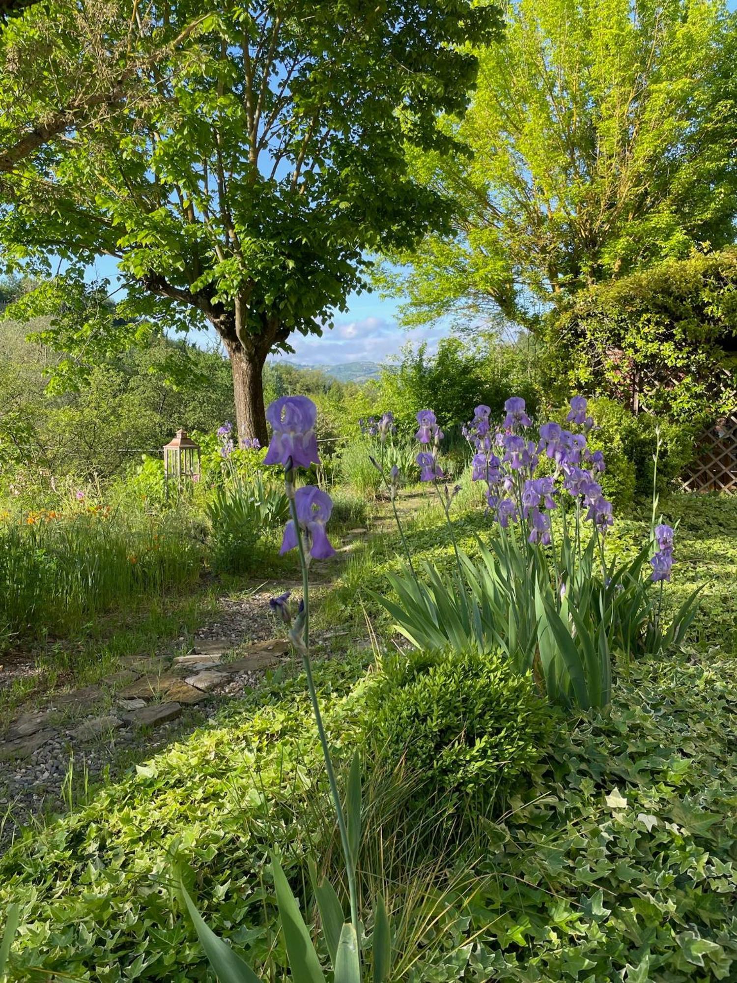 Verdmont Vendégház Acqui Terme Kültér fotó