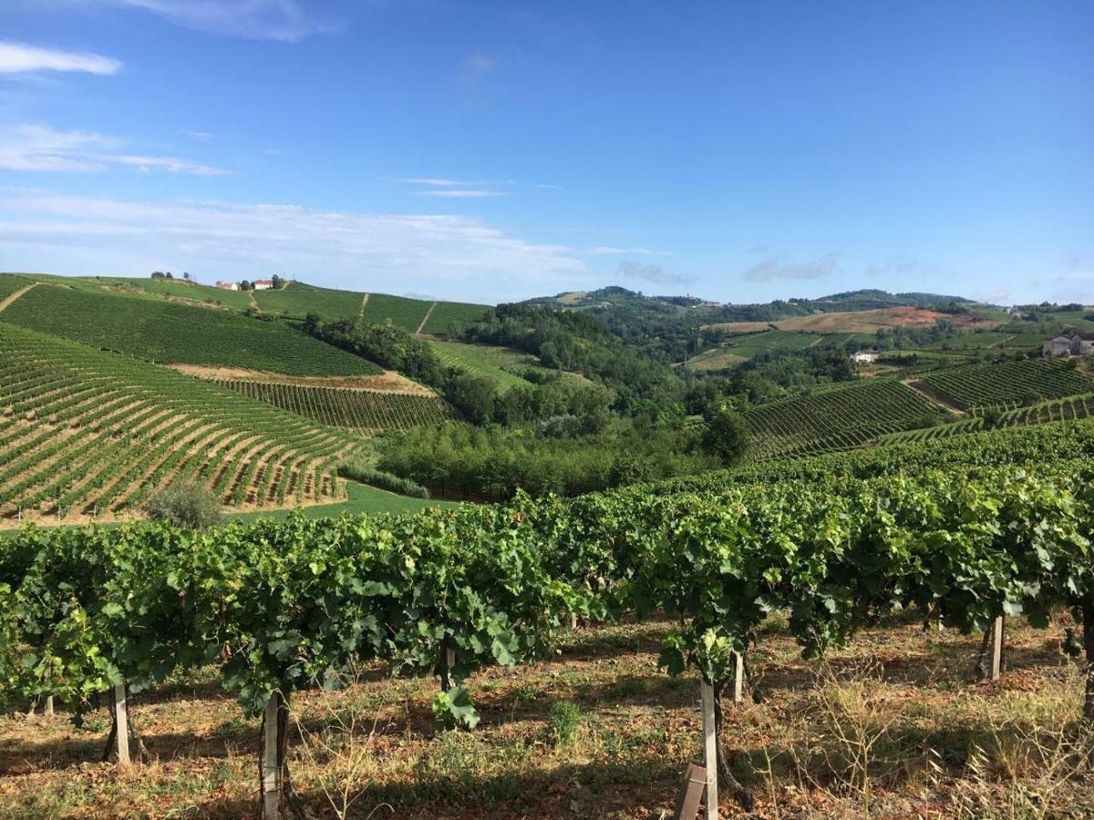 Verdmont Vendégház Acqui Terme Kültér fotó